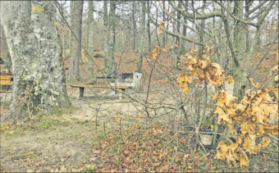 Ascheverstreuung ist zwar erlaubt, muss aber laut Gesetz «schicklich» erfolgen. Nahe einem Brötliplatz wie hier in Gränichen ist das wohl nicht der Fall. (Bild: zVg.)