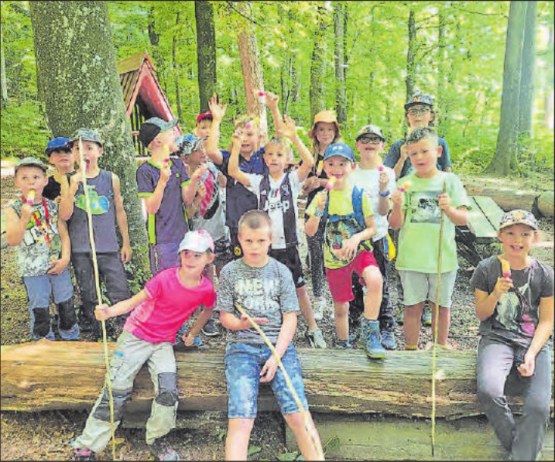 Mit Wasserglace der Hitze getrotzt: Die Kinder der Ferienspässe Homberg und Menziken/Burg lernten viel über den Wald.(Bilder: bs.)