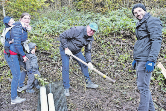 Für drei Enkel Edelkastanie und Lärche gesetzt: Denis Brüning (Bildmitte) weiss, wie Bäume gepflanzt werden, schweisstreibend und mit krummem Rücken. (Bilder: aw.)