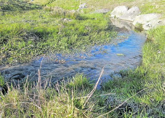 Der Rickenbach – ein Bestandteil der Siedlungsentwässerung, deren überarbeitetes Regelement spätestens in einem Jahr vorliegen soll. (Bilder: zVg.)