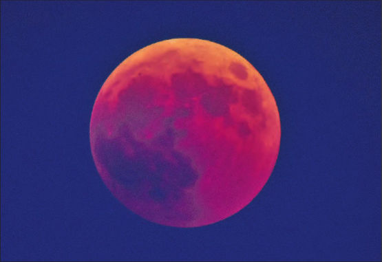 Bild: Andreas Walker