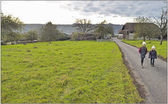 Dieses Land in der Mairüti muss Zetzwil als Kulturland in die Nutzungsplanung aufnehmen; an der Gemeindeversammlung entstand Opposition zugunsten einer Reserve für Einfamilienhäuser. (Bild: wr.)