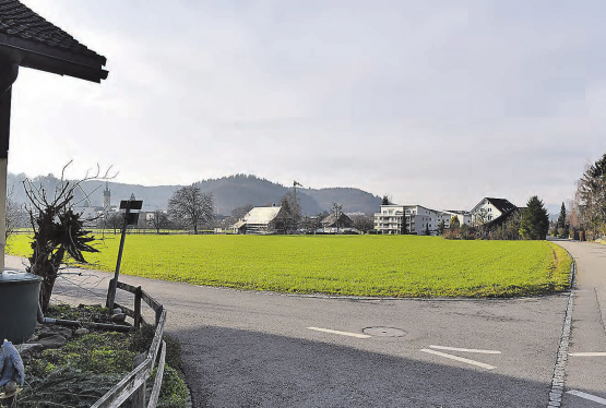 Beim Gebiet Ei gibt es zwischen den Wohnquartieren unbebautes Land: Diese grüne Fläche auf dem Bild liegt aber nicht in der eingezonten Wohnzone. (Bild: A.W.)