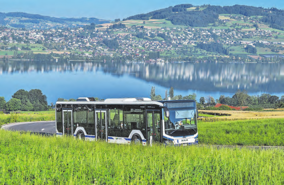 Rund um den Hallwilersee soll sich das Angebot der öffentlichen Verkehrsmittel verbessern. Die Fahrpläne verschiedener Buslinien sollen besser aufeinander abgestimmt werden. (Bild: Eveline Beerkircher, Kanton Aargau)