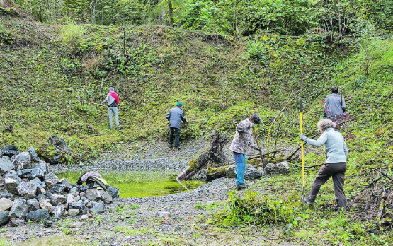 Amphibienlaichgebiet von nationaler Bedeutung: Der Natur- und Vogelschutzverein Reinach leistete den ersten Pflegeeinsatz in der Zollestergrube, die sich linkerhand auf der Zufahrt zur Reinacher Waldhütte befindet. (Bild: zVg.)