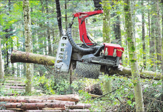 Der Vollernter Harvester Komatsu 951XC im Einsatz.