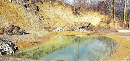 Gontenschwiler Steiniggrube: Als Kompensation für die Einzonung des Mättenfelds als Industriezone ist hier ein attraktiver Lebensraum und ein Weiher für Amphibien, Reptilien, Schmetterlinge, Wildbienen und vieles mehr entstanden- (Bilder: zVg.)