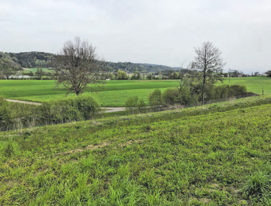 Ein Blick in die Talebene zwischen Kirchleerau und Schöftland: Im Gebiet auf Staffelbacher Boden soll bei einem Jahrhundertereignis das Wasser vor den besiedelten Räumen zurückgehalten werden. (Bild: Remo Conoci)