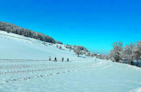 Pünktlich auf den ersten Advent präsentierte sich die Rickenbacher Loipe in hervorragendem Zustand. (Bilder: zVg.)