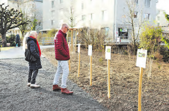 Die Begrünung mit ökologisch wertvollen Ökoinseln wurde von den Besuchenden gelobt.