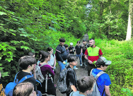 Forstwart Kilian Ziegler erklärt den Umgang mit Neophyten. (Bilder: zVg.)