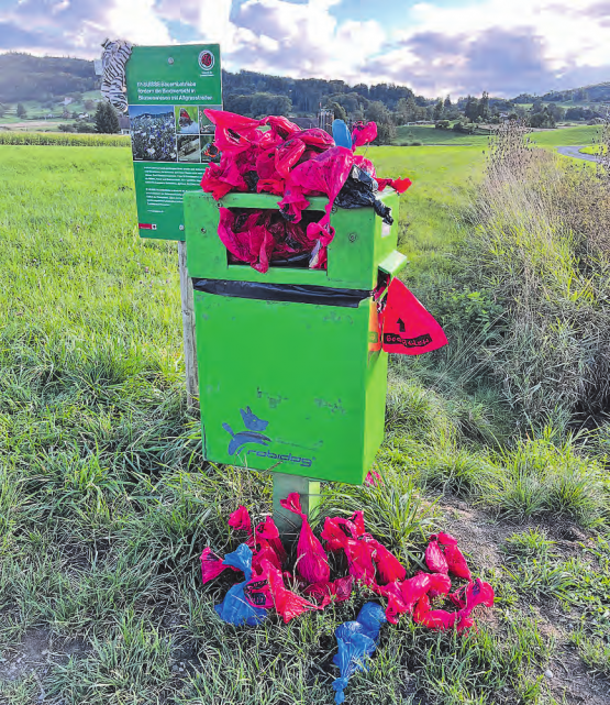 So präsentierte sich am Freitagabend ein Robidog, der seine Belastungsgrenze erreichte. (Bild: dr.)