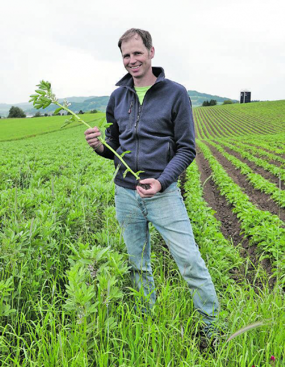 Christian Galliker (40) ist mit Leib und Seele Biobauer und Agronom. (Bilder: René Fuchs)