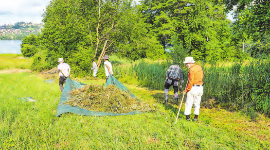 Unterstützung der Natur beim Einsatz des LSVH in den lokalen Reservaten. (Bild: zVg.)