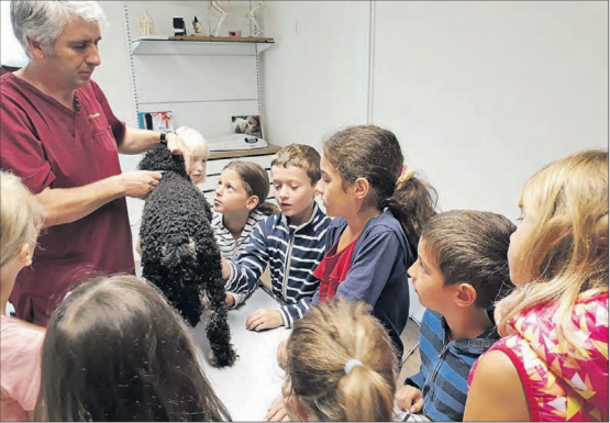 Spannende Eindrücke und bleibende Erlebnisse boten die verschiedenen Angebote im Rahmen des Ferien(s)passes Menziken-Burg. (Bild: zVg.)