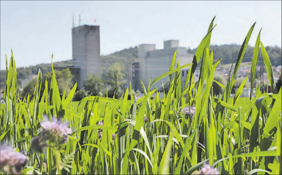 Informationsanlass Hegmatte/Mühleareal – Anmeldung erforderlich! Dieser findet m Samstag, 5. September 2020 von 10 bis 12 Uhr (und eventuell zusätzlich von 13 bis 15 Uhr) in der Dreifachturnhalle statt. (Bild: rc.)