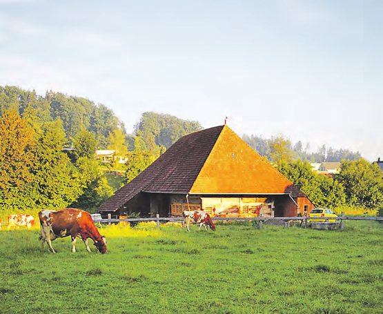Altes Haus in neuem Glanz: das Hochstudhaus am Mühleweg in Staffelbach. (Bild: zVg.)