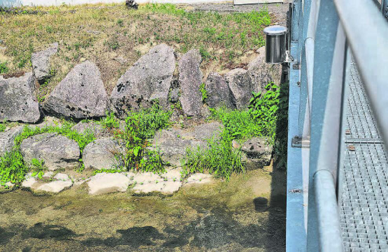 Messstation «FG_0379 Wyna-Reinach» hinter der Firma Fischer. Die Live-Messwerte sind mit Vorsicht zu geniessen, der Durchschnitt über mehrere Stunden gibt aber ein klares Bild über die geführte Wassermenge.