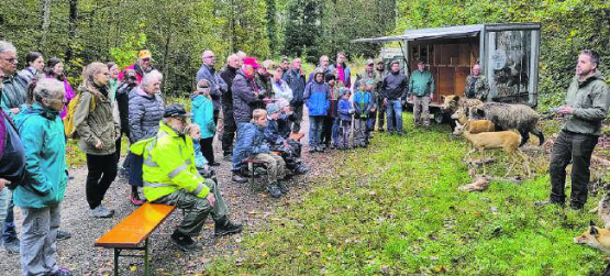 Aufmerksam lauschten die grossen und kleinen Gäste des Waldes. (Bild: zVg.)
