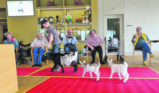 Freudig beobachteten die Bewohnerinnen und Bewohner das muntere Treiben der Ziegenschar. Die jungen Geissli kletterten danach auf Steine und Baumstämme und genossen sichtlich das Sommer-Zuhause. (Bild: zVg.)
