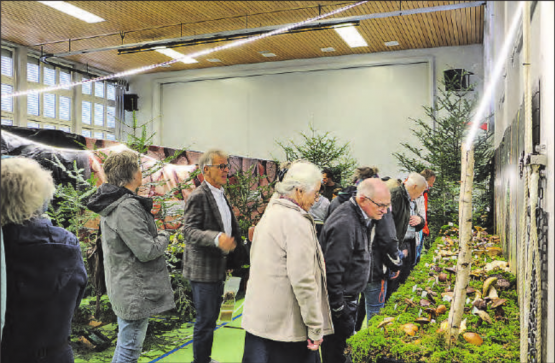 Der Verein für Pilzkunde Wynental freute sich über das grosse Interesse aus der Region. (Bilder: jaf.)