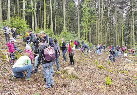 Die Natur ist immer wieder faszinierend: Generationen übergreifend helfen die Familien der Neugeborenen tatkräftig mit bei der Bepflanzung des Jahrgangwäldlis für das Geburtsjahr 2018. (Bilder: moha.)