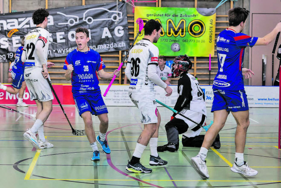 Reinacher Torjubel in Spiel 2 der Best-Of-Five-Serie in der eigenen Halle – in beiden Spielen gewann jedoch jeweils das Auswärtsteam, die Serie damit ausgeglichen. (Bild: Roland Wick)