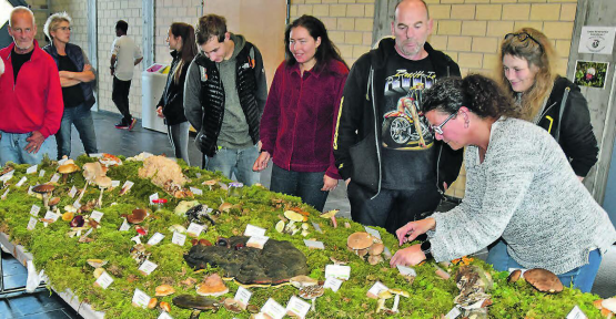 Beim Umrunden des Ausstellungstisches: Besucher entdecken ihnen unbekannte Pilzarten. (Bilder: aw.)