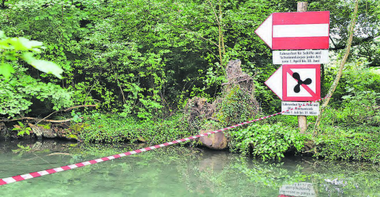 Alles verboten. Das bisher temporär gültige Verbot für die Befahrung des Aabachs gilt jetzt ganzjährig. Nur noch Badekleider und Schwimmflügeli sind erlaubt. (Bild: rc.)