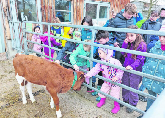 Tierische Begegnungen beim Besuch auf dem Bauernhof Burgrain in Alberswil.