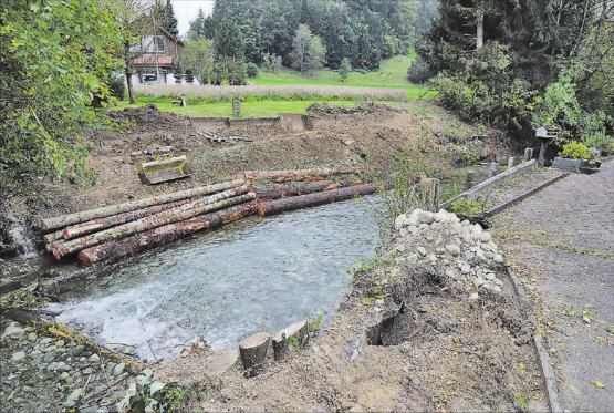 Die Baustelle ist eingerichtet. Das Rundholz liegt bereit, gut zwanzig Forellen wurden ausgefischt und weiter oben beim Salzlager wieder ausgesetzt. Die Arbeiten können beginnen. (Bild: rc.)