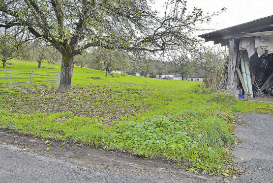 Land in der Mairüti: Die Zetzwiler Stimmbürger wollen die Parzellen in der Bauzone behalten. (Bilder: wr)