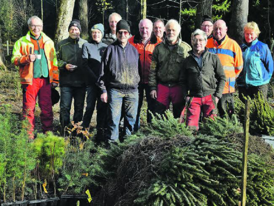 Eine gut gelaunte Gesellschaft: Zwölf Pensionierte mitten im Wald an der Arbeit, vor ihnen noch 400 Stecklinge, die Franz Fässler alle von Hand herbei schleppte. Darum seine verdreckten Kleider. (Bild: st.)