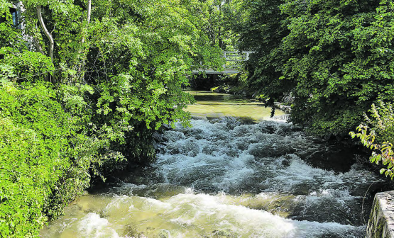 Die Wyna eine Woche nach dem Hochwasser: Der Pegel befindet sich nicht nur bei der Messstation in Reinach wieder auf Durchschnittswerten. (Bilder: mars.)
