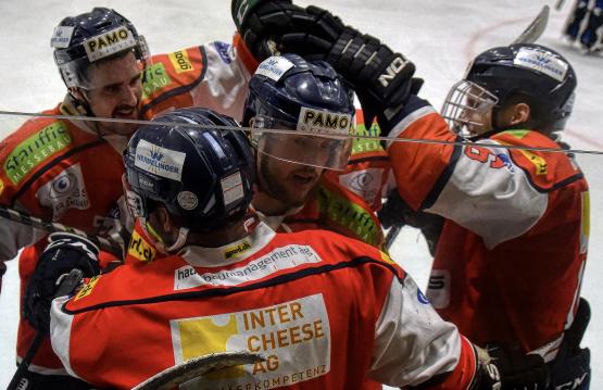 Symbolbild Red Lions